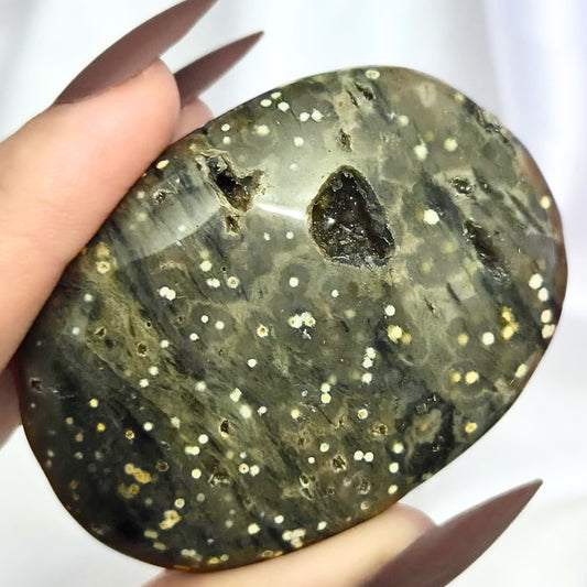Druzy Orbicular Ocean Jasper Palm Stone
