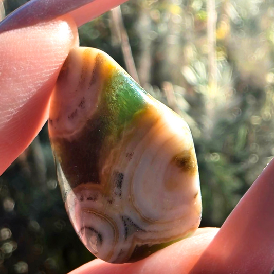 Rare 8th Vein Ocean Jasper Mini Freeform