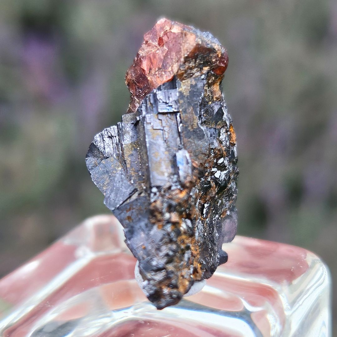 Galena with Rhodonite Micro Specimen (2) - Broken Hill NSW