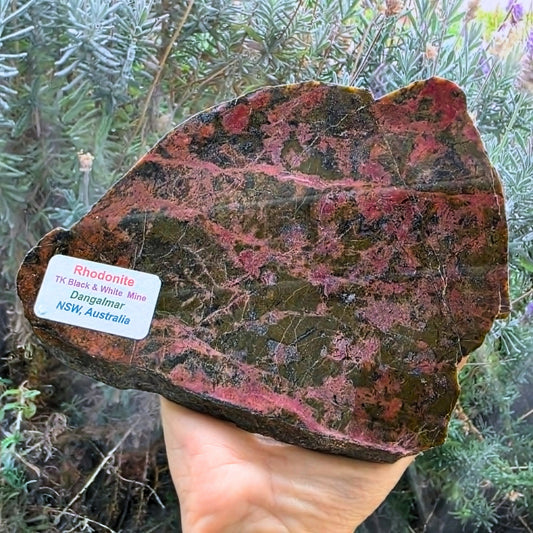Large Collector Australian Rhodonite Slab - Dangalmar NSW - 408g, 15.4cm