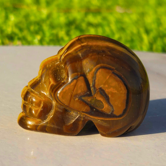Tigers Eye Skull