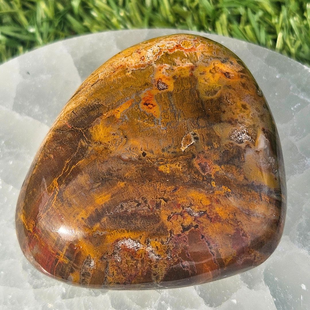 Brecciated Jasper Palm Stone