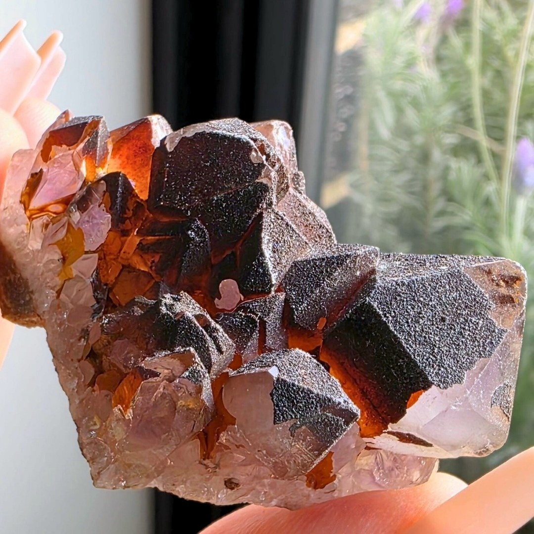Hematite Capped Amethyst Cluster