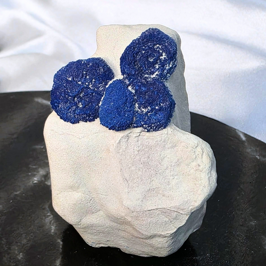 Limited Piece Druzy Azurite Sun Cluster Specimen - Malbunka Copper Mine, NT