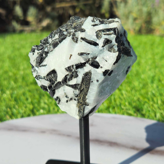 Black Tourmaline in Quartz on Metal Stand