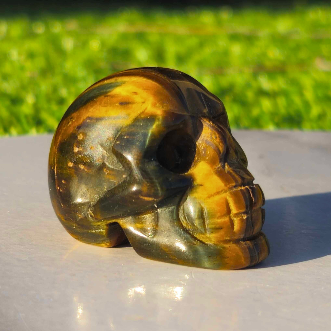 Tigers Eye Skull