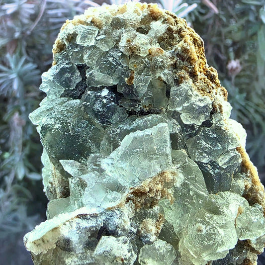 Fujian Octahedral Sugar Fluorite Cluster - 246g