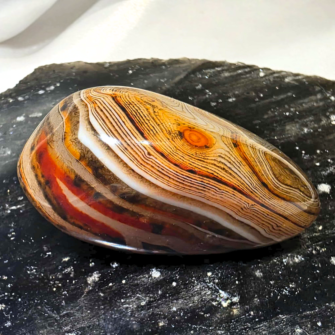 Sardonyx (Onyx & Carnelian) Palm Stone Freeform