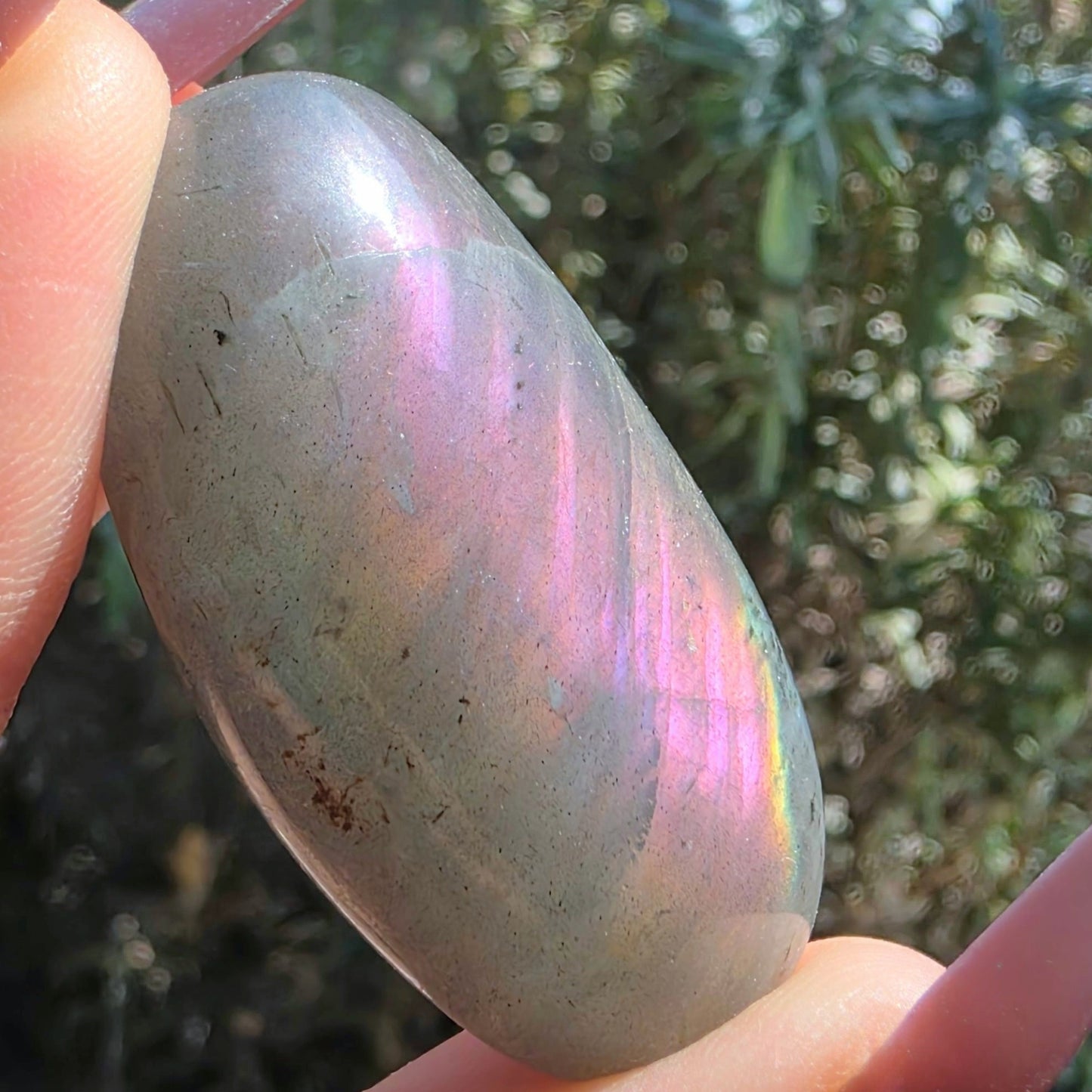 Light Grey Labradorite Palm Stone with Pink Purple Flash