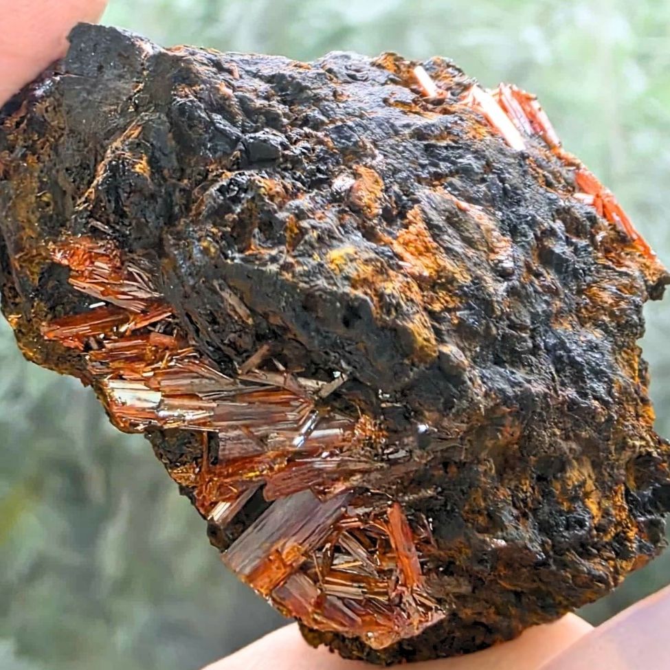 Crocoite Cluster - Dundas, Tasmania