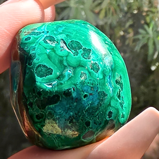 Malachite & Chrysocolla (Malacolla) Small Freeform