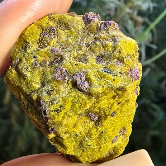 Atlantisite (Serpentine with Stichtite) Cluster - Tasmania