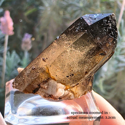 Wave Hill Smoky Quartz with Goethite on Calcite Specimen