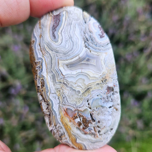 Crazy Lace Agate Palm Stone
