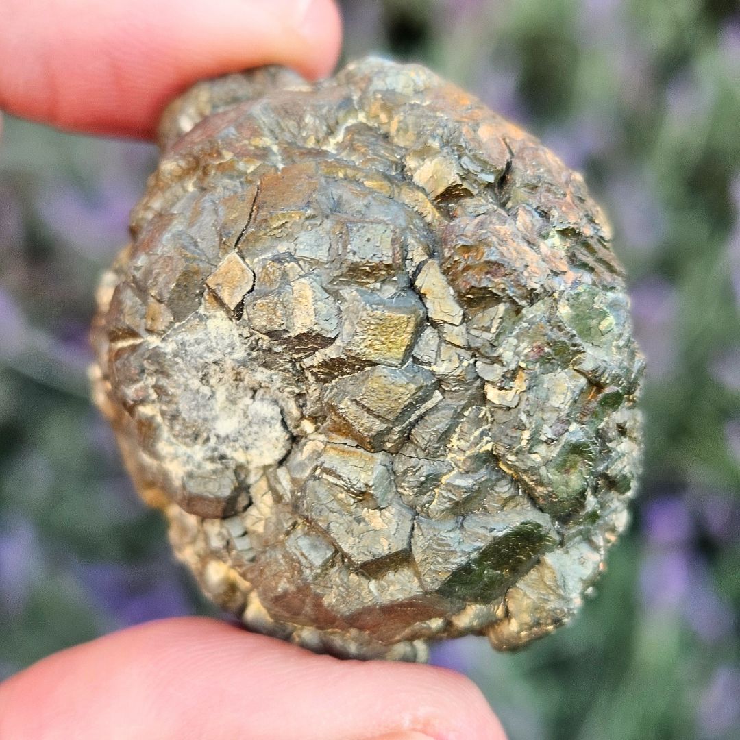 Marcasite Nodule - Pakistan