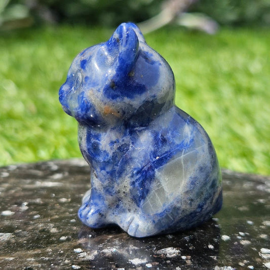 Sodalite Mini Cat Carving