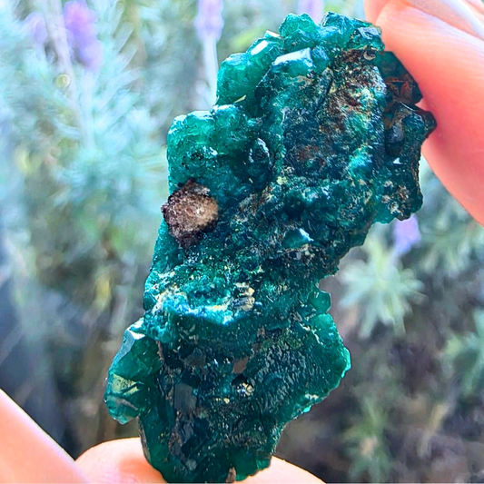 Rare Green Dioptase Specimen - Congo