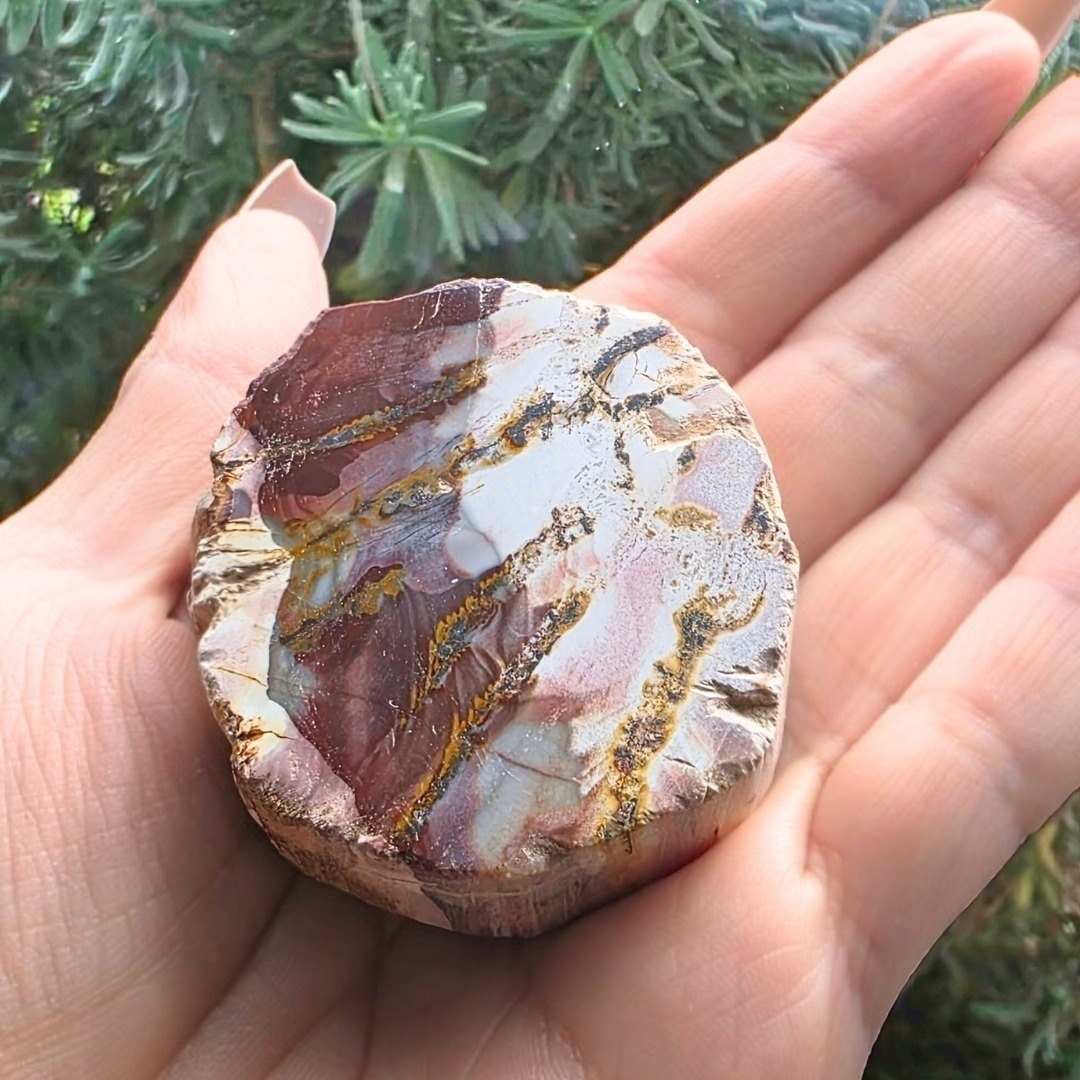 Semi-Polished Petrified Wood with Agate Crystal