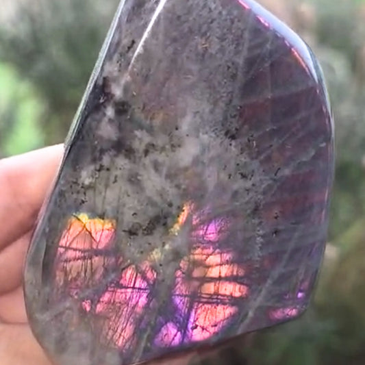 High Grade Pink Purple Flash Labradorite Freeform - 239g - Madagascar