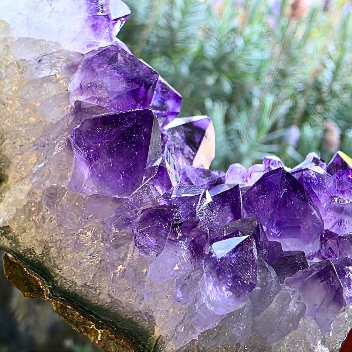 Amethyst Cluster with Large Crystal Points & Zoning