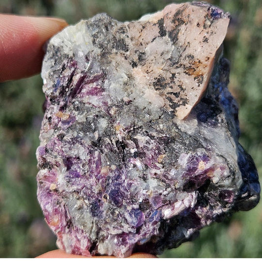 Purple, black, white cluster