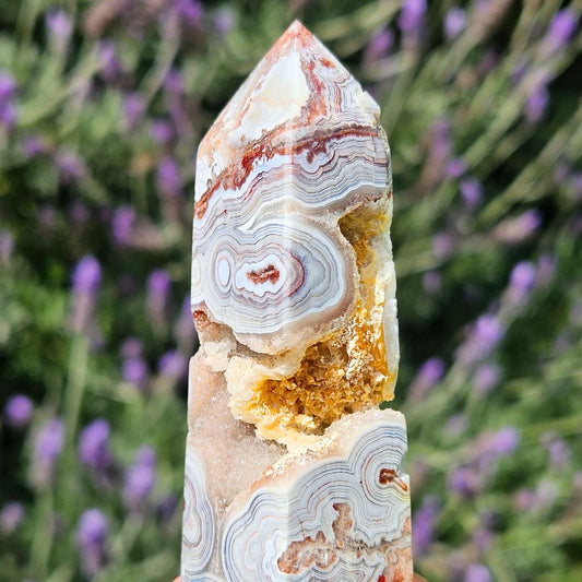 Mexican Crazy Lace Agate with Open Druzy