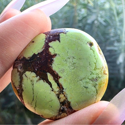 Lemon (Citron) Chrysoprase Crystal - WA