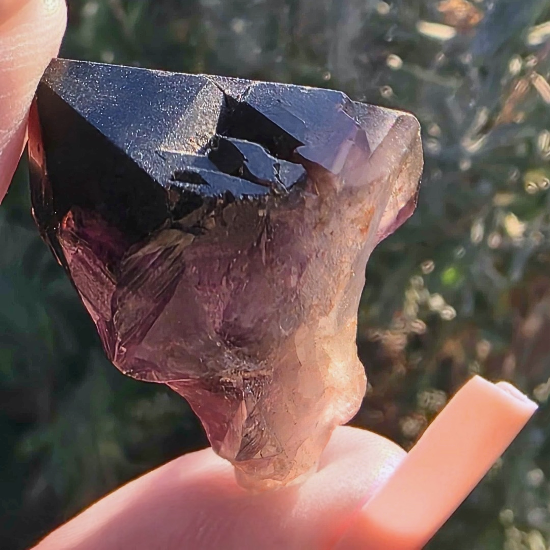 Rare Wyloo Amethyst & Smoky Quartz Tooth Crystal Point