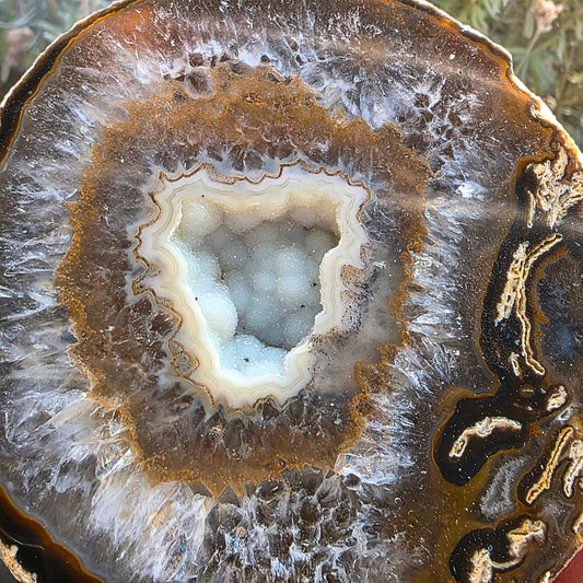 Large Semi-Polished Agate Geode with Botryoidal Chalcedony & Druzy Quartz