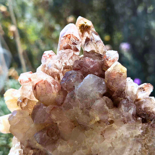 XL Phantom Red Hematite in Clear Quartz Cluster - 418g