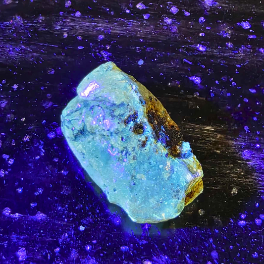 Genuine Raw Baltic Fossilised Baby Amber - UV Reactive