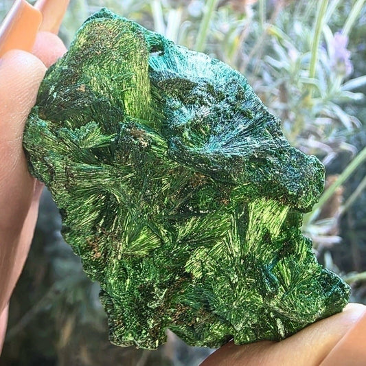 Velvet & Fibrous Malachite Cluster
