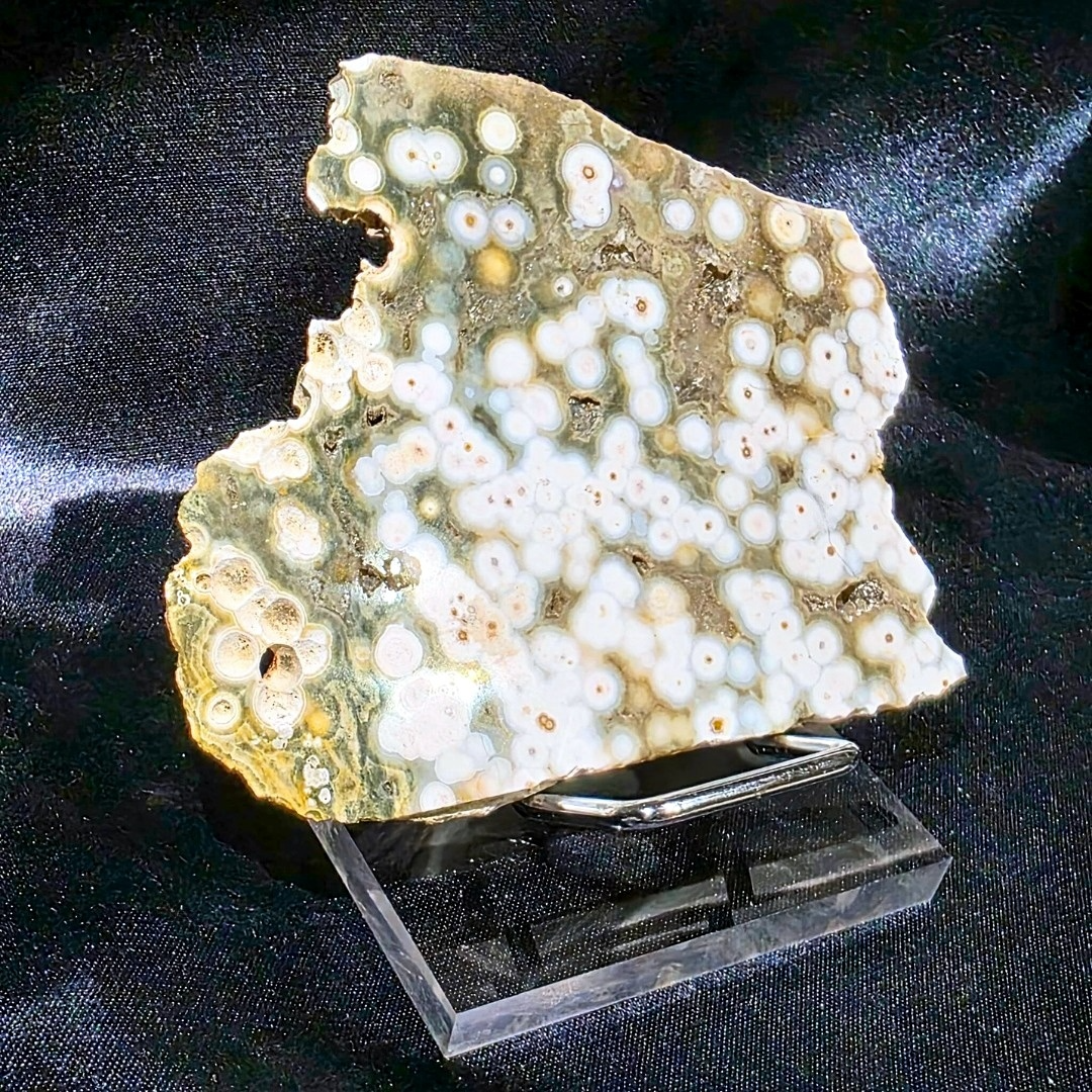 Druzy Orbicular Ocean Jasper Slab with Holder