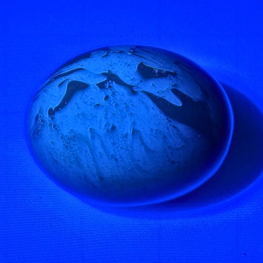 Genuine Fossilised Blue Amber Egg