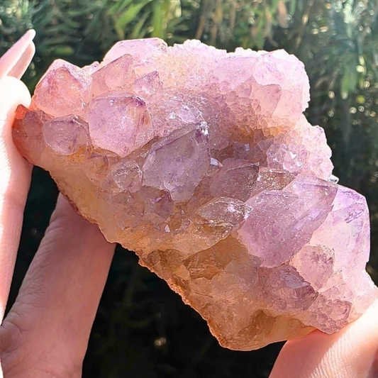 Fairy Quartz (Spirit/Cactus Quartz) & Citrine Cluster