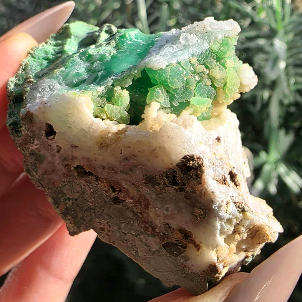 Apple Green Chrysoprase in Chalcedony Cluster - Marlborough, QLD