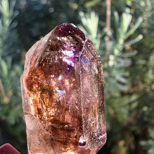 Rare Super Seven (Melody Stone) Crystal Sceptre - Brazil