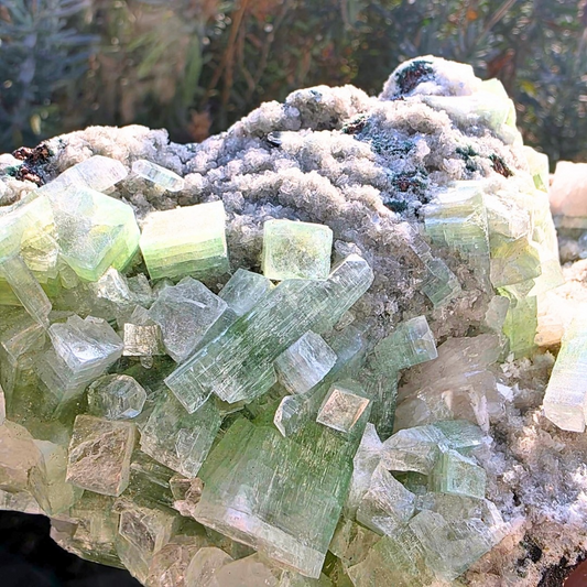 High Grade Rare Green Apophyllite on Chalcedony Display Cluster - 630g