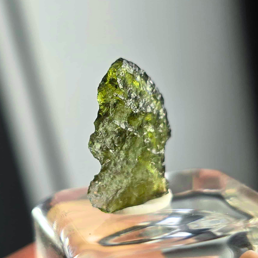 Genuine Moldevite in Case - Czech Republic