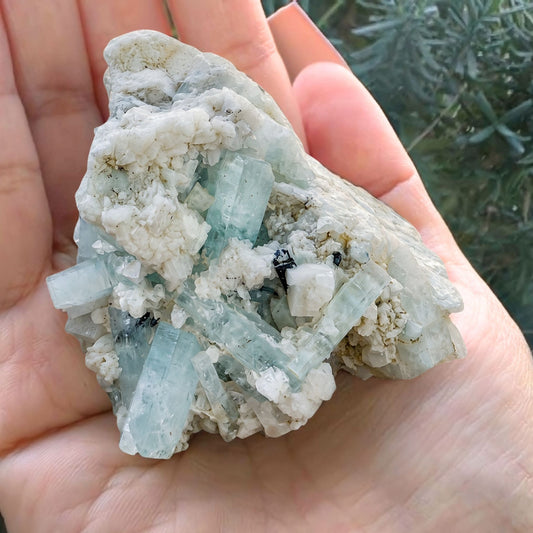 Handheld 92g Shigar Valley aquamarine specimen showing size scale in centimeters and inches.