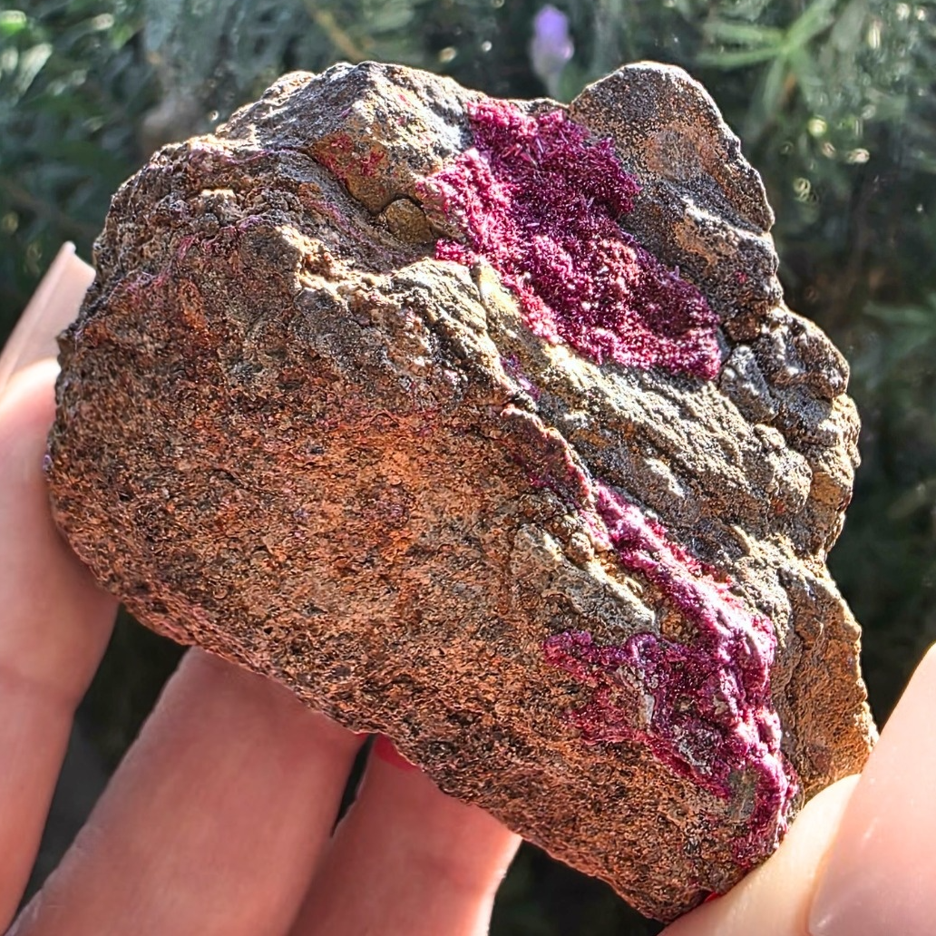 Rare Pink Erythrite Cluster