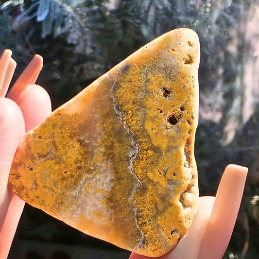 Rare Bumble Bee Jasper Raw Freeform