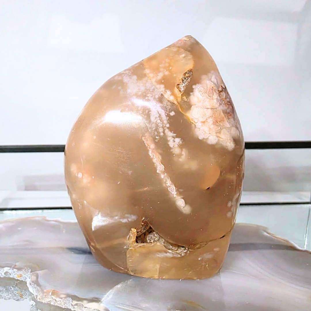 Large Flower Agate Freeform – Natural Bloom Plume Formation – 280g