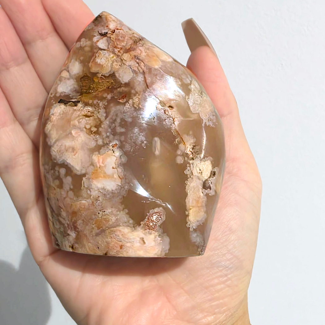 Large Flower Agate Freeform – Natural Bloom Plume Formation – 280g