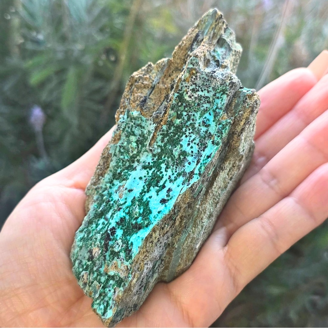 Druzy Malachite & Chrysocolla (Malacolla) Crystal Cluster - 170g | DRC