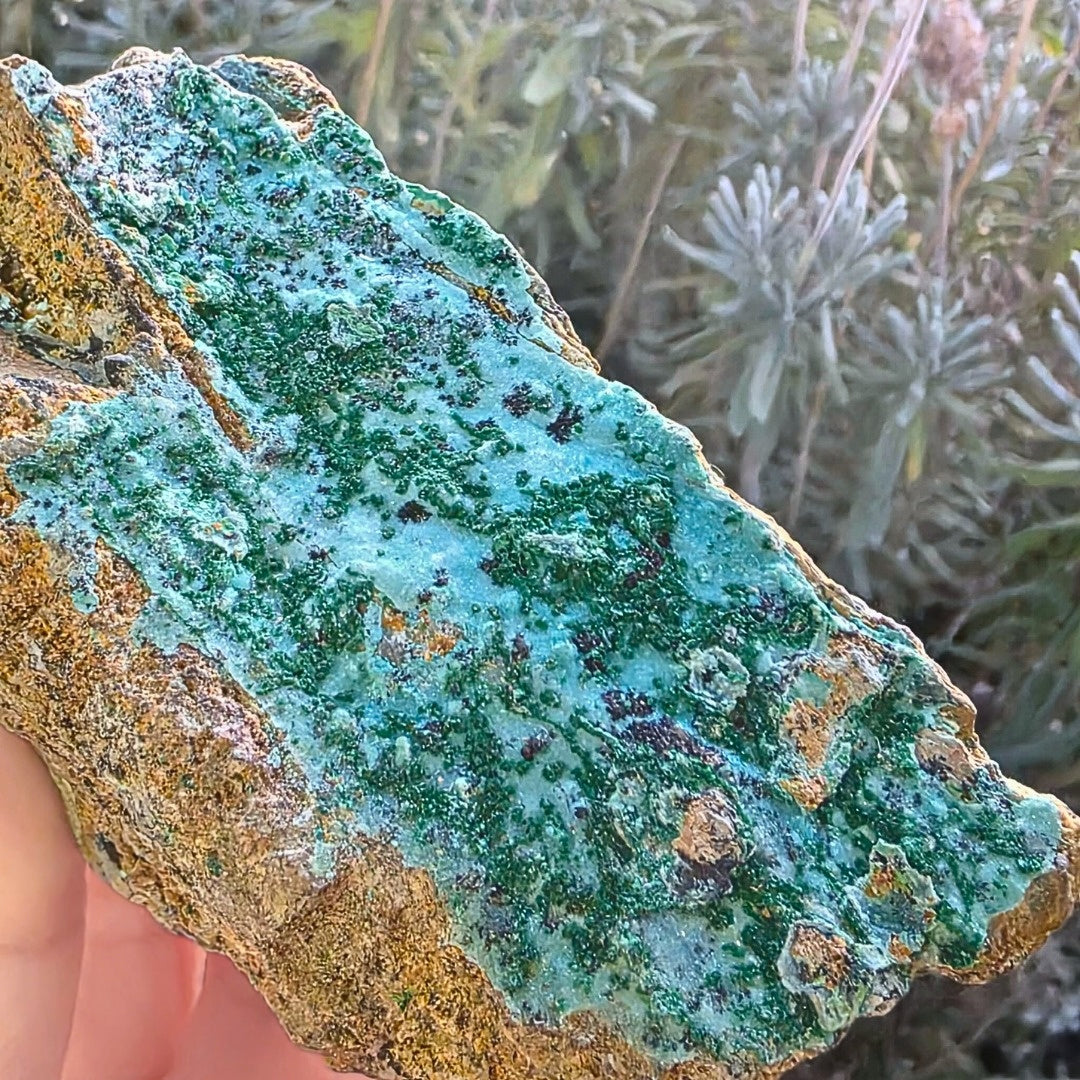 Druzy Malachite & Chrysocolla (Malacolla) Crystal Cluster - 170g | DRC