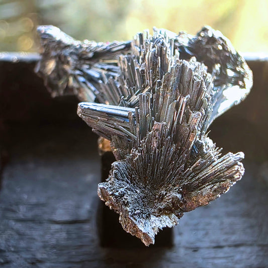 Collector Stibnite Crystal Spray Specimen - Romania