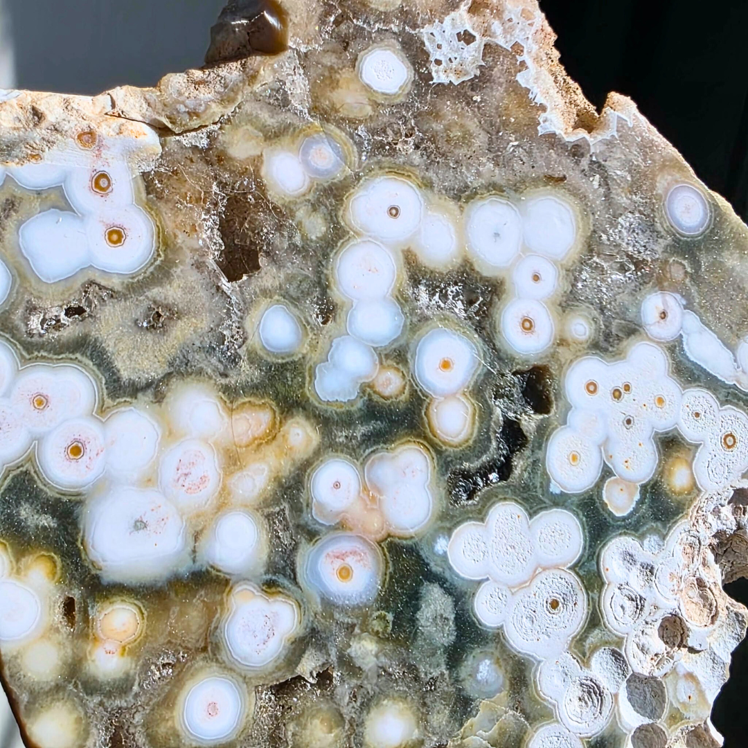 Druzy Orbicular Ocean Jasper Slab with Holder