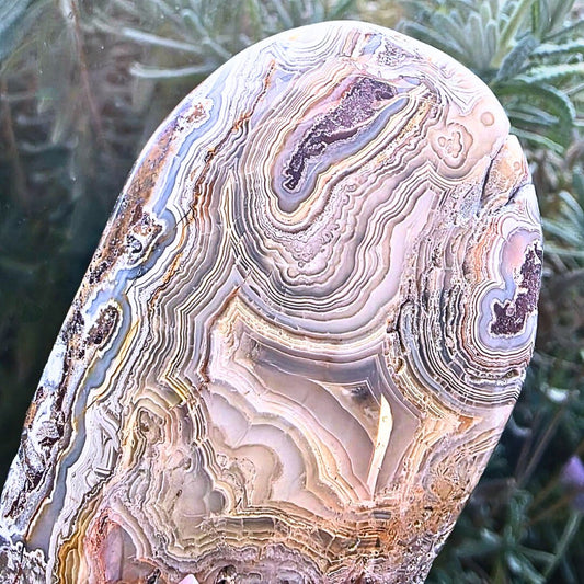Crazy Lace Agate Palm Stone