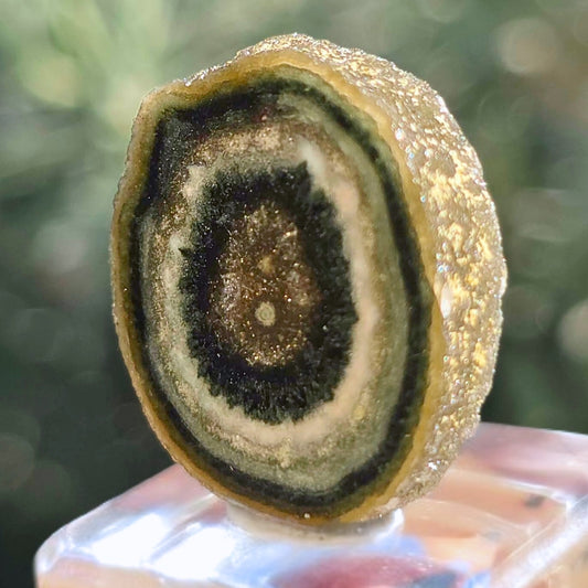 Prasiolite (Green Amethyst) Stalactite Crystal